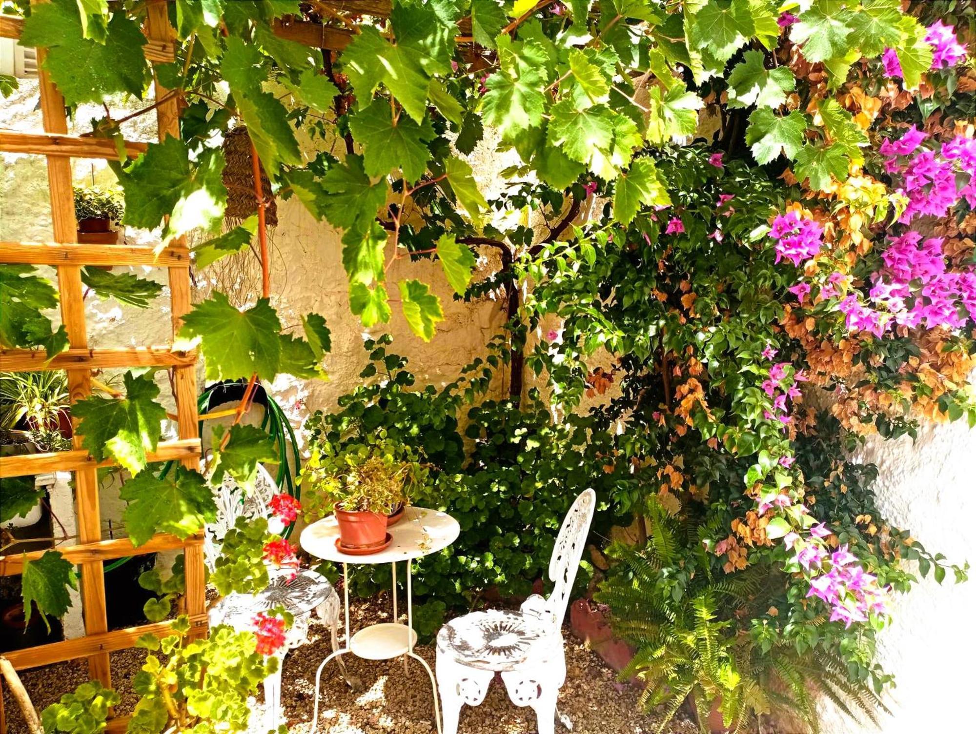 Casa Shyshka Country Cottage Periana Exteriér fotografie
